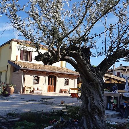 Il Focolare B&B Casa Ottani エクステリア 写真